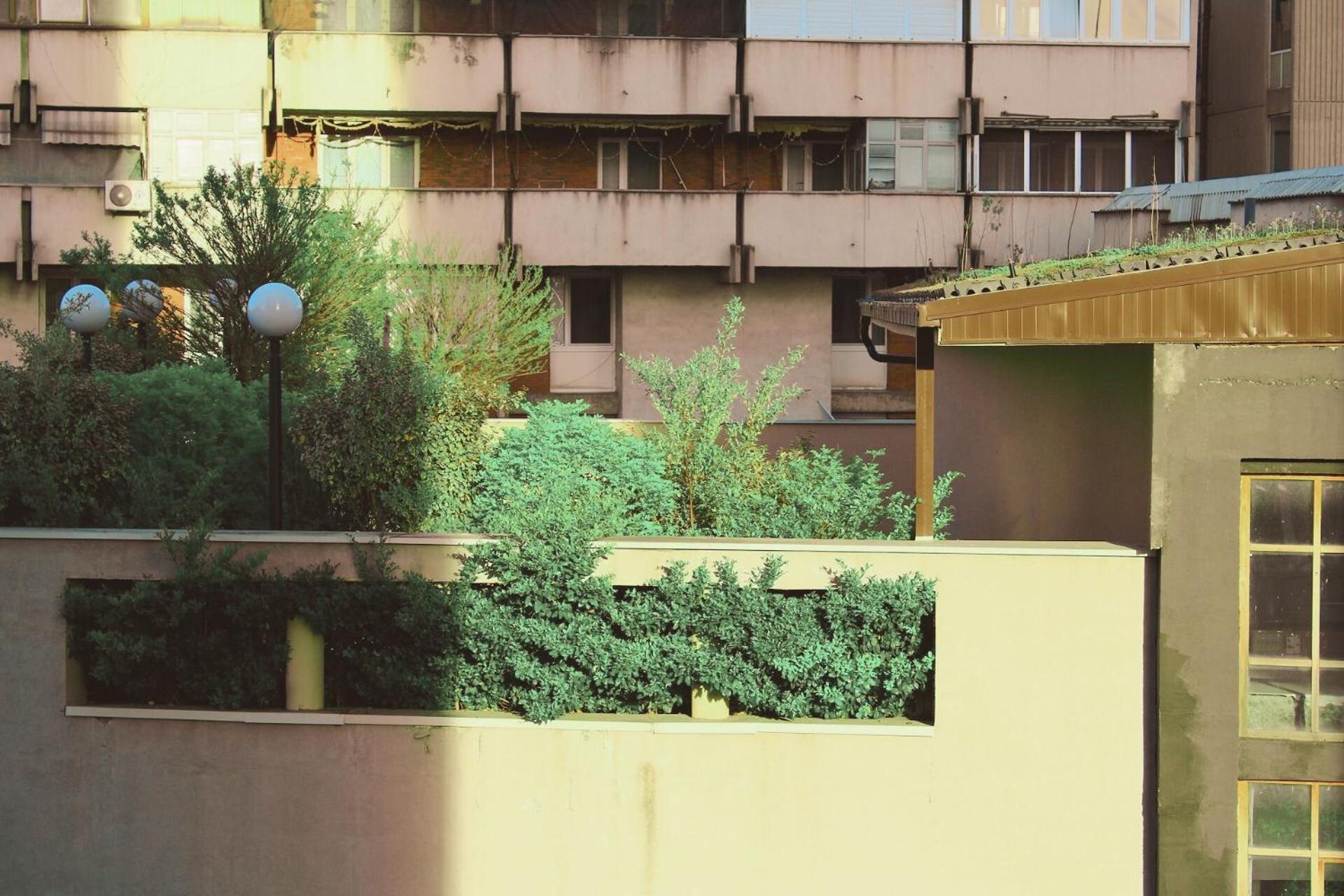 Sunny Center Apartment Скоп'є Екстер'єр фото